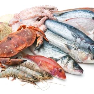 Seafishes & Seafood