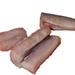 Chitol gada