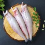 Bombay duck