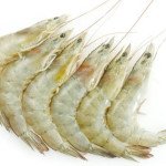 Chapda white prawns