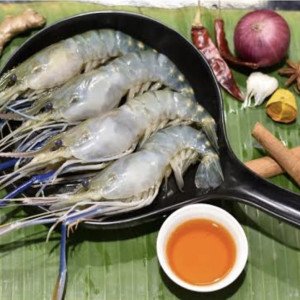 Scampi/galda 10-15 pcs per kg
