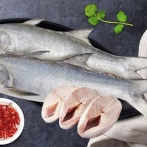 Gurjali/Indian salmon big 2-4 kg above