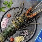 lobster