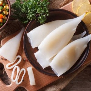 squid tubes
