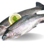 Himalayan rainbow trout (whole cut in pieces)